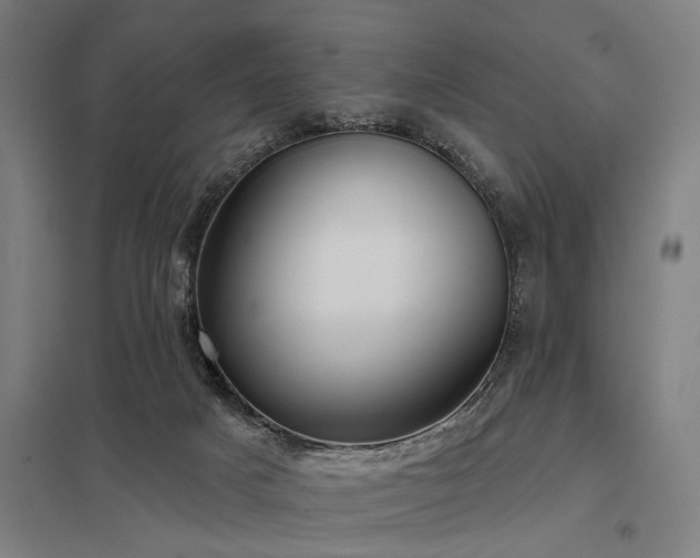 X0000098050025200803281505