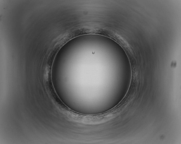 X0000098050026200803281505