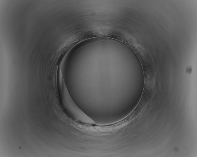 X0000098050027200803281505