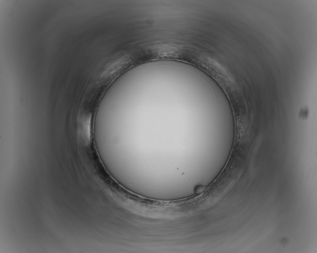 X0000098050028200803281505