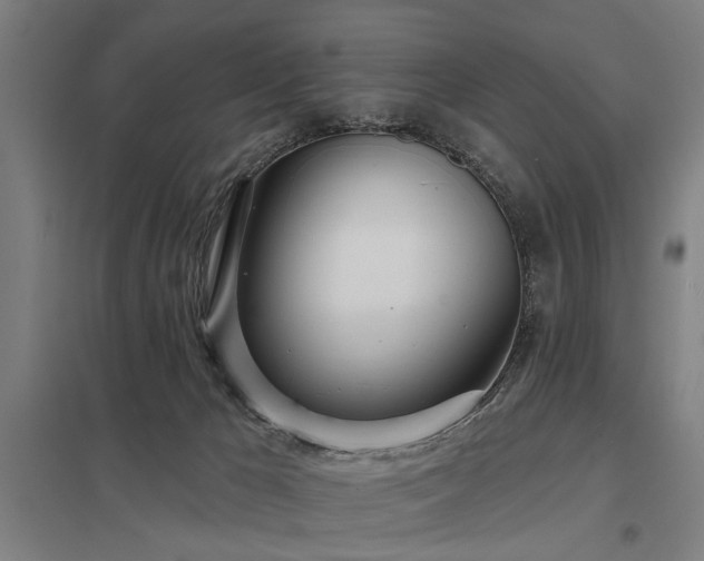 X0000098050029200803281505