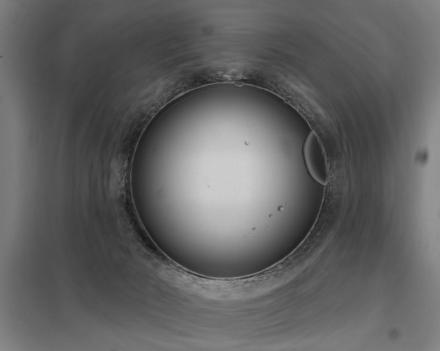 X0000098050030200803281505