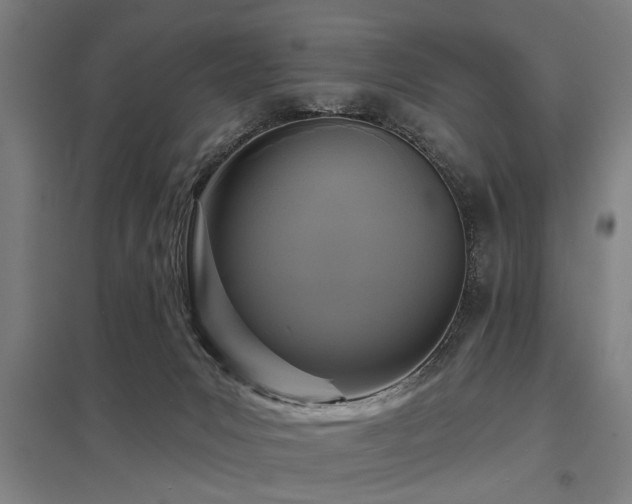 X0000098050031200803281505