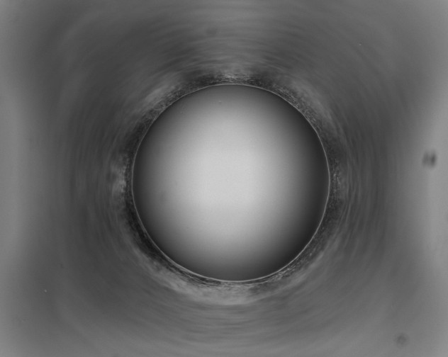 X0000098050032200803281505