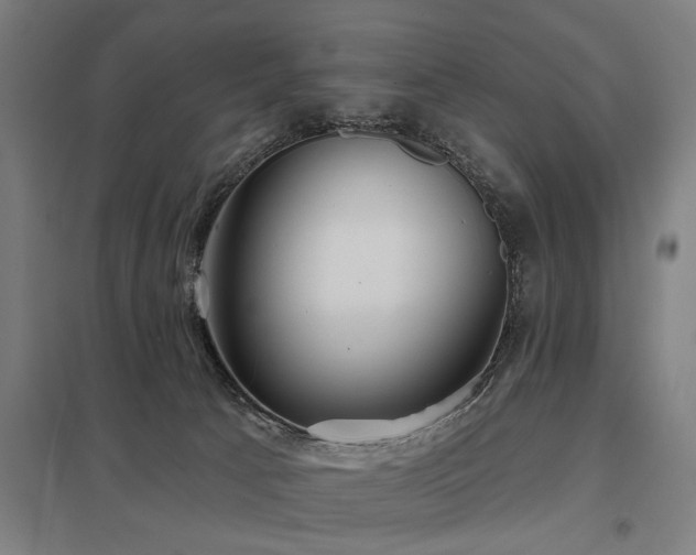 X0000098050033200803281505