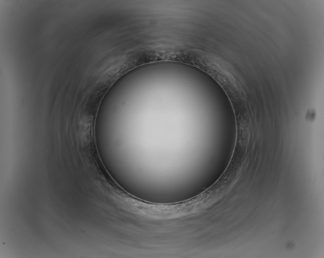 X0000098050034200803281505