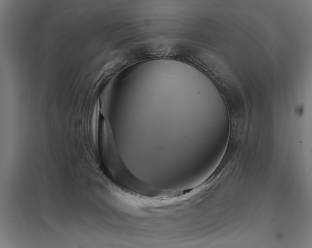 X0000098050035200803281505