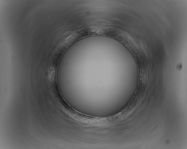 X0000098050036200803281505