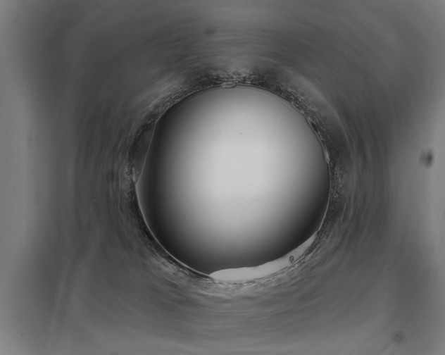 X0000098050037200803281505