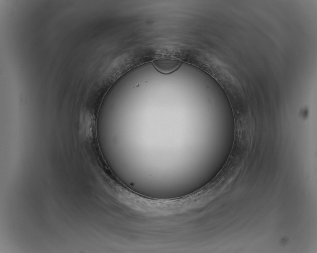 X0000098050038200803281505