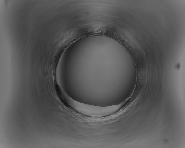 X0000098050039200803281505