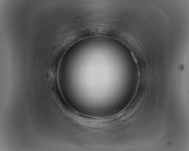 X0000098050040200803281505