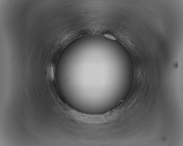 X0000098050042200803281505