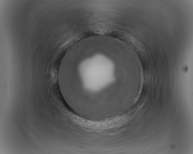 X0000098050043200803281505