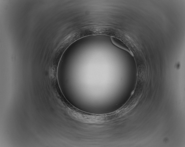 X0000098050044200803281505