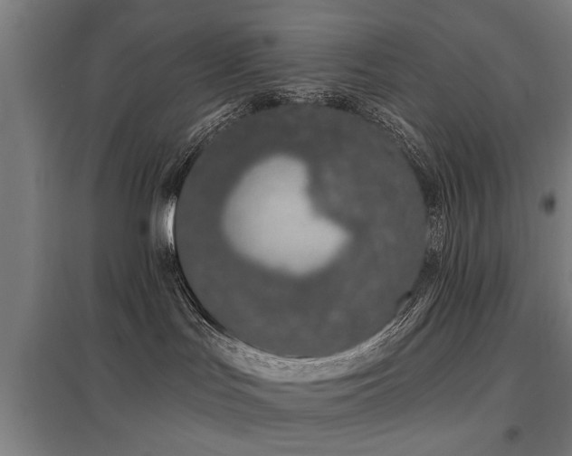 X0000098050047200803281505