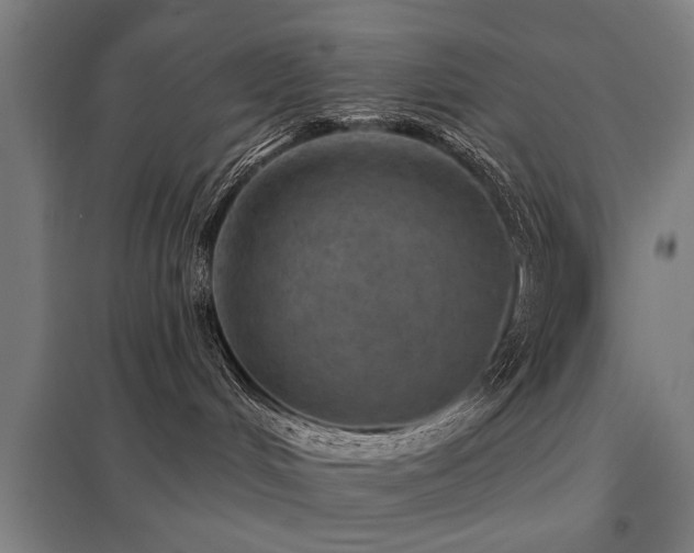 X0000098050048200803281505