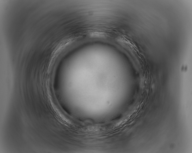 X0000098050049200803281504