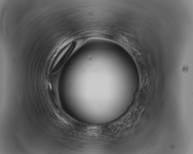 X0000098050050200803281504