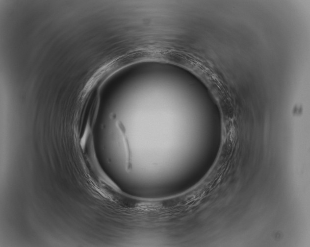 X0000098050051200803281504