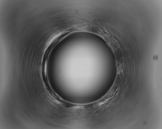 X0000098050052200803281504