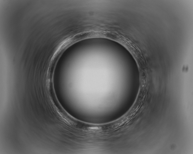 X0000098050053200803281504