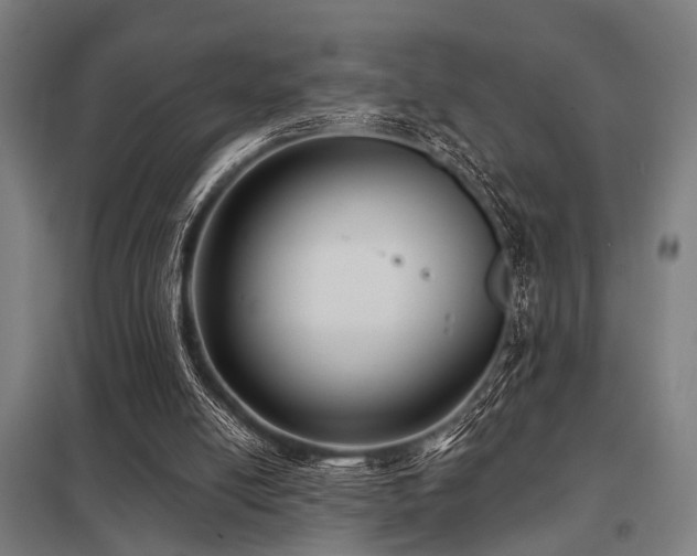 X0000098050054200803281504