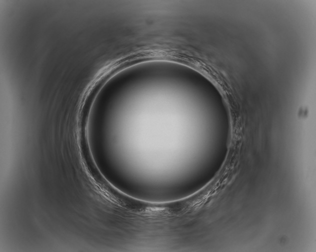 X0000098050055200803281504