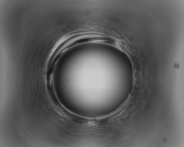 X0000098050056200803281504