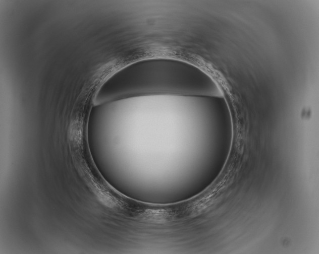 X0000098050057200803281504