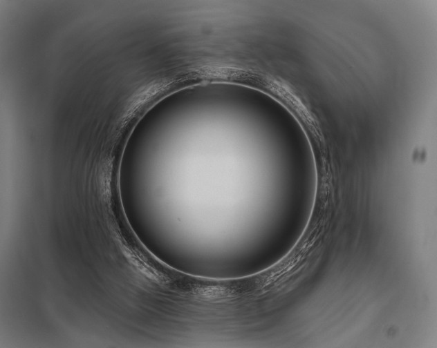 X0000098050058200803281504