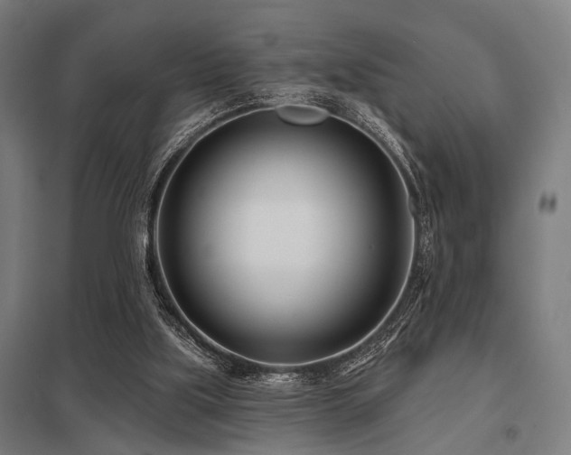 X0000098050059200803281504