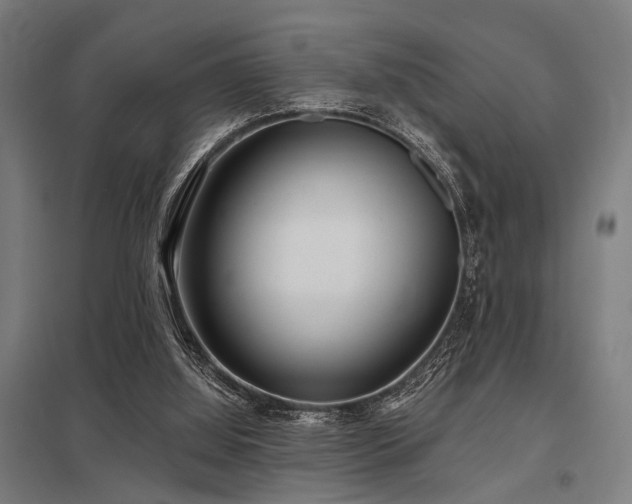 X0000098050060200803281504