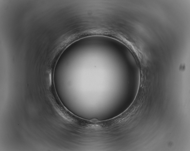 X0000098050061200803281504