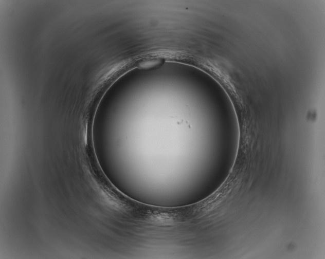 X0000098050062200803281504