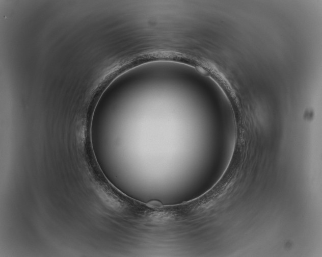 X0000098050063200803281504