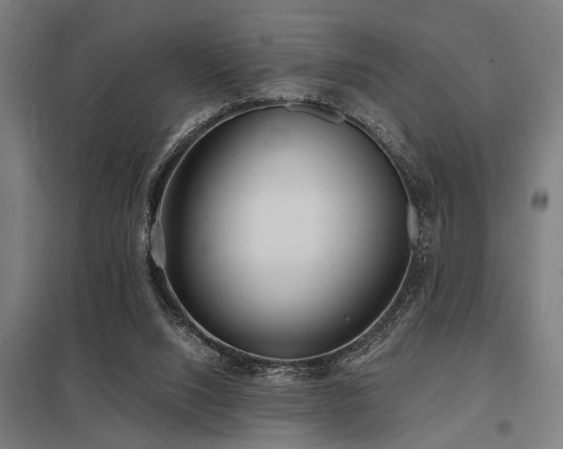 X0000098050064200803281504