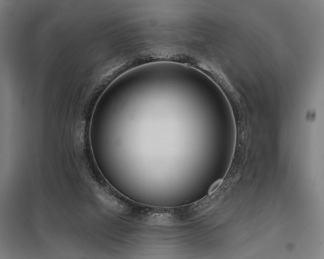 X0000098050066200803281504