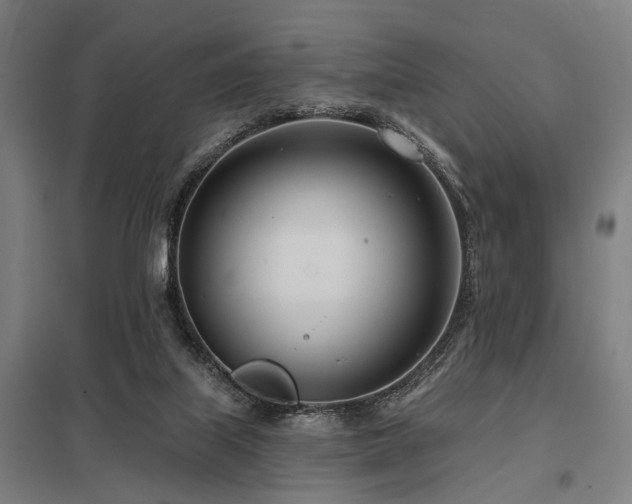 X0000098050067200803281504