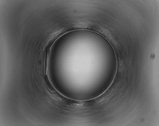 X0000098050068200803281504