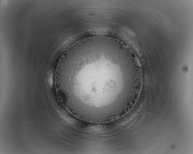 X0000098050069200803281504