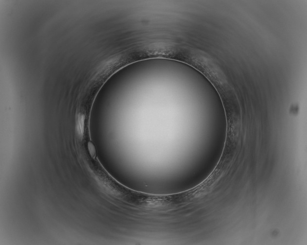 X0000098050070200803281504