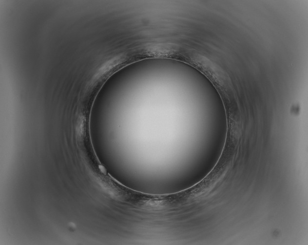 X0000098050071200803281504