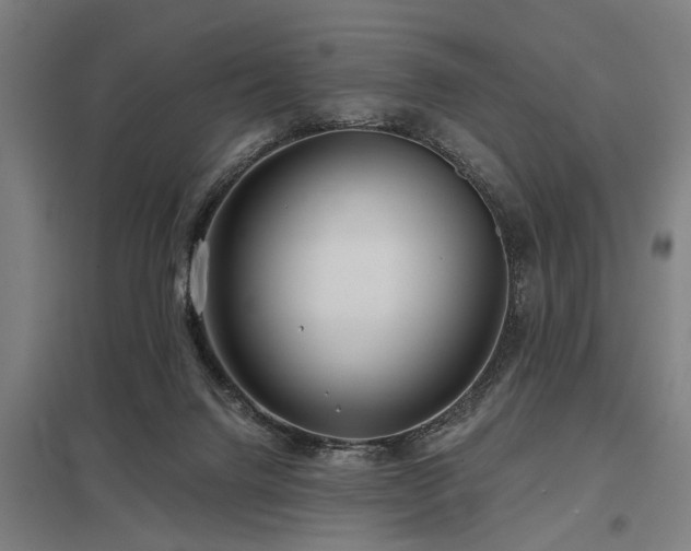 X0000098050072200803281504