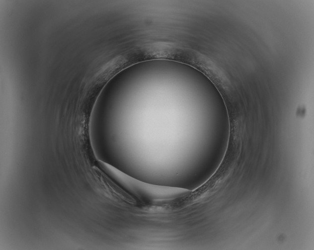 X0000098050073200803281504