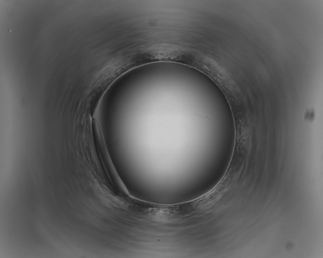 X0000098050074200803281504