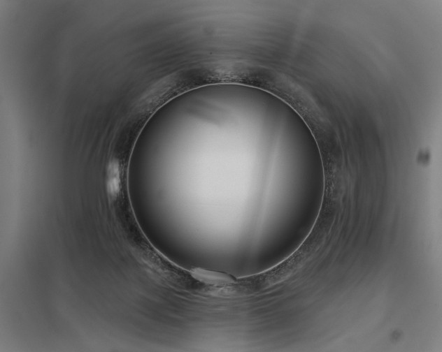 X0000098050075200803281504