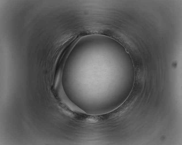 X0000098050076200803281504