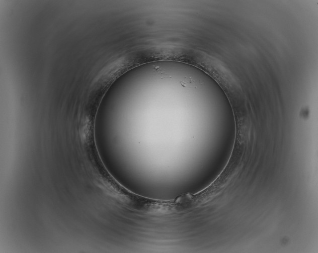 X0000098050077200803281504