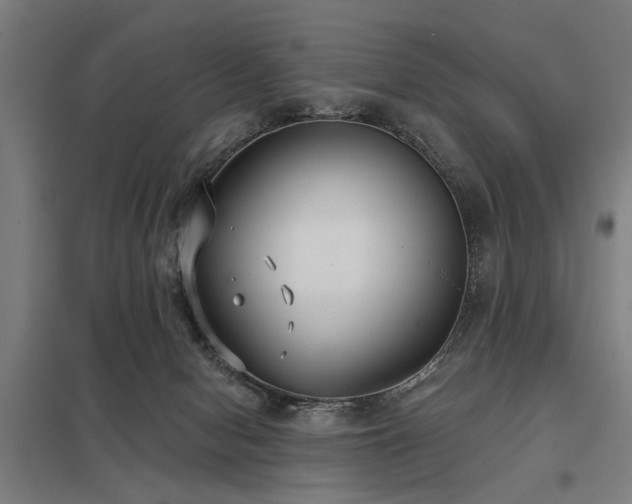 X0000098050078200803281504